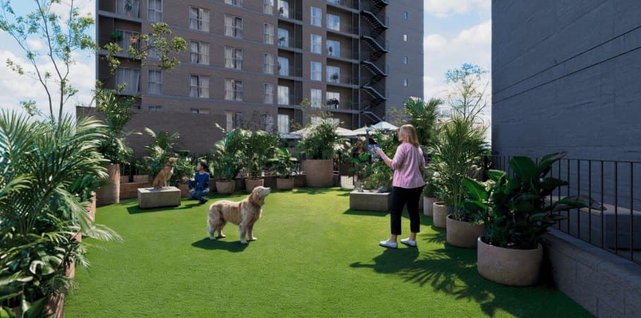 Pet park